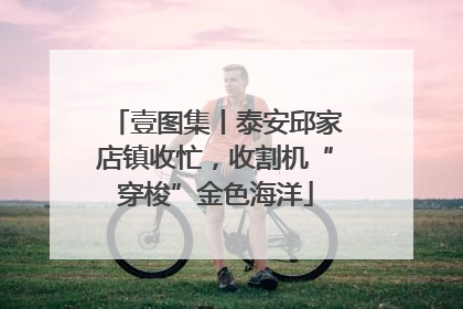 壹图集丨泰安邱家店镇收忙，收割机“穿梭”金色海洋