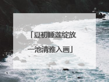 夏初睡莲绽放 一池清雅入画