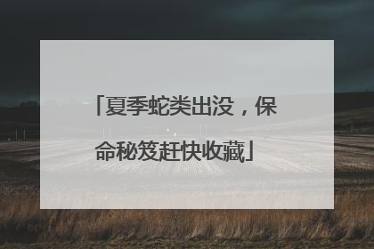 夏季蛇类出没，保命秘笈赶快收藏