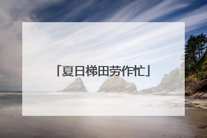 夏日梯田劳作忙