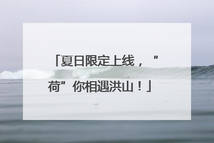 夏日限定上线，“荷”你相遇洪山！