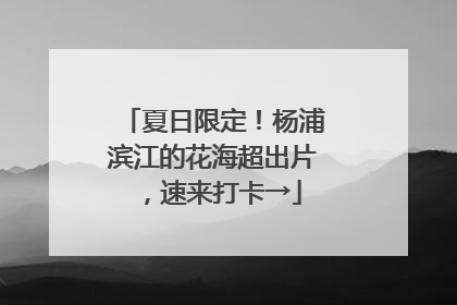 夏日限定！杨浦滨江的花海超出片，速来打卡→