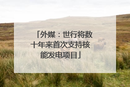 外媒：世行将数十年来首次支持核能发电项目