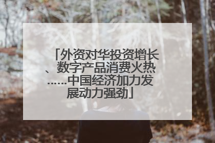 外资对华投资增长、数字产品消费火热……中国经济加力发展动力强劲
