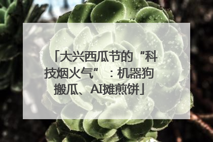 大兴西瓜节的“科技烟火气”：机器狗搬瓜、AI摊煎饼