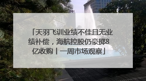 天羽飞训业绩不佳且无业绩补偿，海航控股仍豪掷8亿收购丨一周市场观察