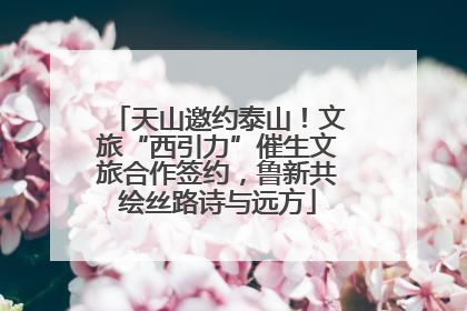 天山邀约泰山！文旅“西引力”催生文旅合作签约，鲁新共绘丝路诗与远方