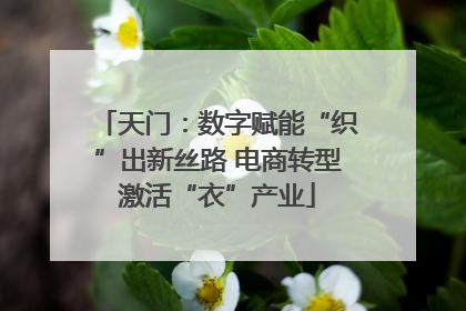 天门：数字赋能“织”出新丝路 电商转型激活“衣”产业