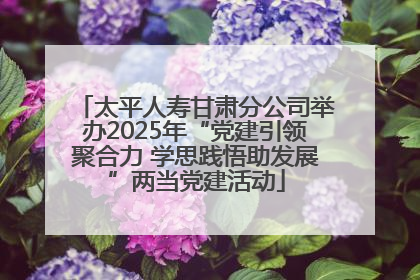太平人寿甘肃分公司举办2025年“党建引领聚合力 学思践悟助发展”两当党建活动