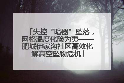 失控“暗器”坠落，网格温度化险为夷——肥城伊家沟社区高效化解高空坠物危机