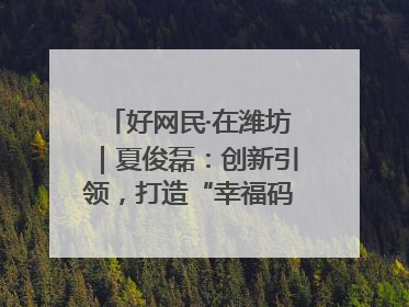 好网民·在潍坊｜夏俊磊：创新引领，打造“幸福码头”典范