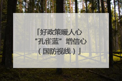 好政策暖人心 “孔雀蓝”增信心（国防视线）