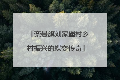 奈曼旗刘家堡村乡村振兴的蝶变传奇