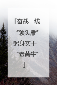 奋战一线“领头雁” 躬身实干“老黄牛”