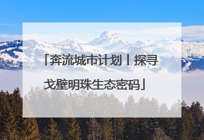 奔流城市计划丨探寻戈壁明珠生态密码