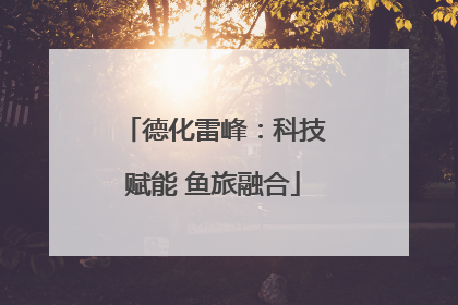 德化雷峰：科技赋能 鱼旅融合