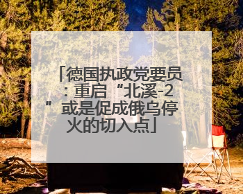 德国执政党要员：重启“北溪-2”或是促成俄乌停火的切入点