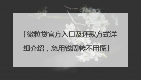 微粒贷官方入口及还款方式详细介绍，急用钱周转不用慌