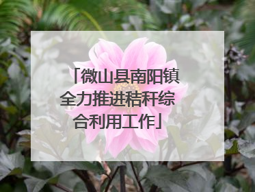 微山县南阳镇全力推进秸秆综合利用工作