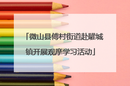 微山县傅村街道赴驩城镇开展观摩学习活动