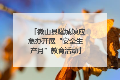 微山县驩城镇应急办开展“安全生产月”教育活动