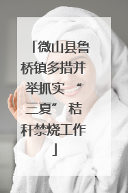 微山县鲁桥镇多措并举抓实 “三夏” 秸秆禁烧工作