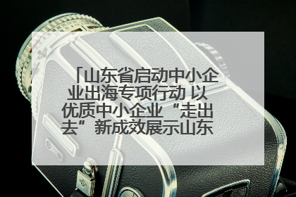 山东省启动中小企业出海专项行动 以优质中小企业“走出去”新成效展示山东产业发展新形象