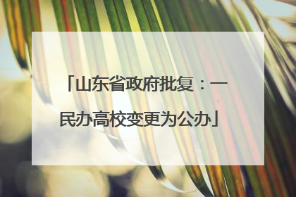 山东省政府批复：一民办高校变更为公办