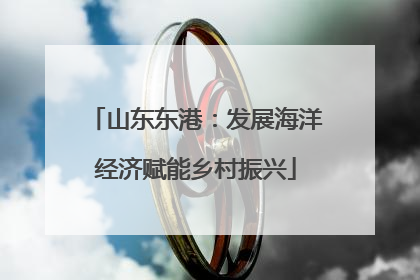 山东东港：发展海洋经济赋能乡村振兴
