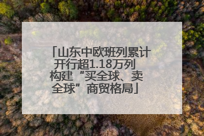 山东中欧班列累计开行超1.18万列 构建“买全球、卖全球”商贸格局