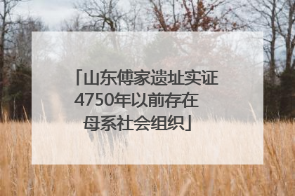 山东傅家遗址实证4750年以前存在母系社会组织
