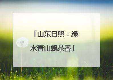 山东日照：绿水青山飘茶香