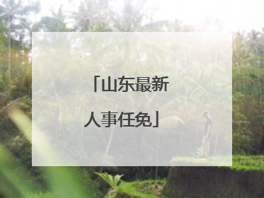山东最新人事任免