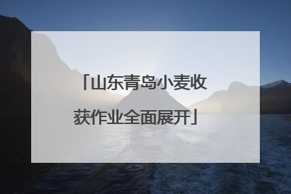 山东青岛小麦收获作业全面展开