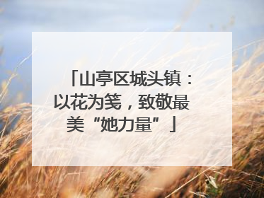 山亭区城头镇：以花为笺，致敬最美“她力量”