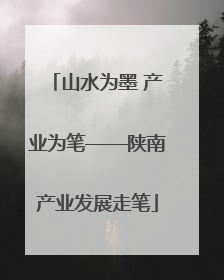 山水为墨 产业为笔——陕南产业发展走笔