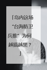岛内这场“台海防卫兵推”为何越描越黑？