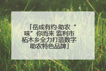 岳成有约·助农“味”你而来 监利市柘木乡全力打造数字助农特色品牌