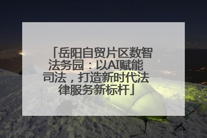 岳阳自贸片区数智法务园：以AI赋能司法，打造新时代法律服务新标杆