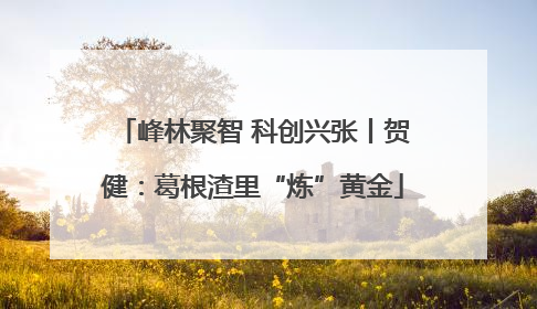 峰林聚智 科创兴张丨贺健：葛根渣里“炼”黄金