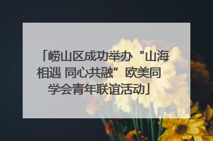 崂山区成功举办“山海相遇 同心共融”欧美同学会青年联谊活动