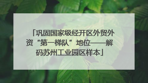 巩固国家级经开区外贸外资“第一梯队”地位——解码苏州工业园区样本