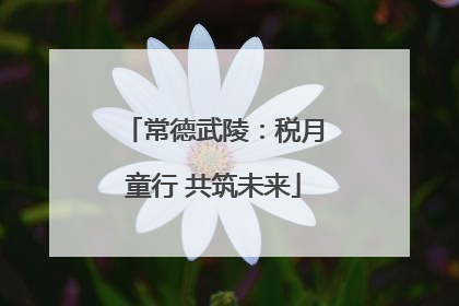 常德武陵：税月童行 共筑未来