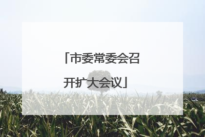 市委常委会召开扩大会议