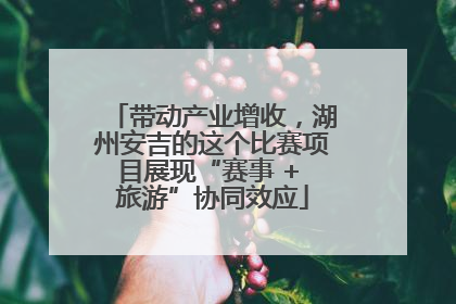 带动产业增收，湖州安吉的这个比赛项目展现“赛事 + 旅游”协同效应