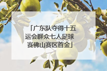 广东队夺得十五运会群众七人足球赛佛山赛区首金