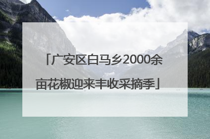 广安区白马乡2000余亩花椒迎来丰收采摘季
