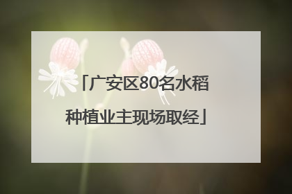 广安区80名水稻种植业主现场取经