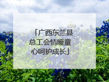广西东兰县总工会情暖童心呵护成长