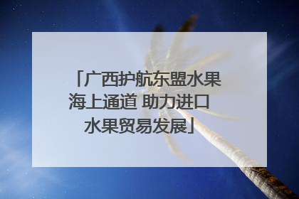 广西护航东盟水果海上通道 助力进口水果贸易发展